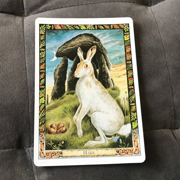 The Druid Animal Oracle Cards Philip & Stephanie Carr-Gomm - Picture 5 of 10